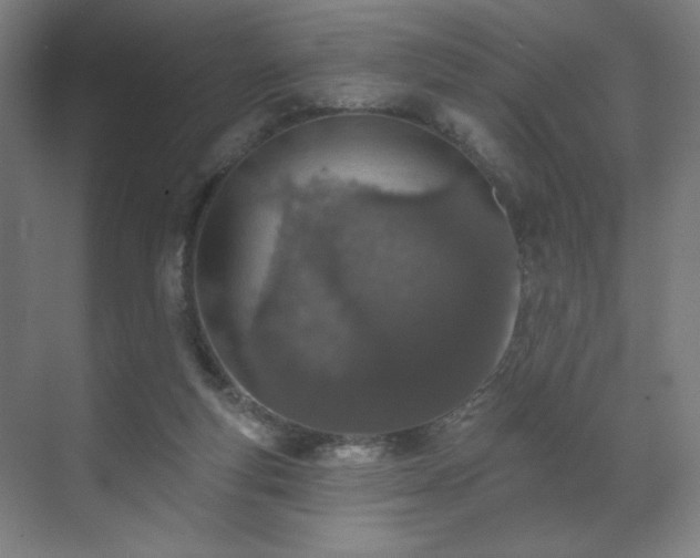 X0000071940163200607141442