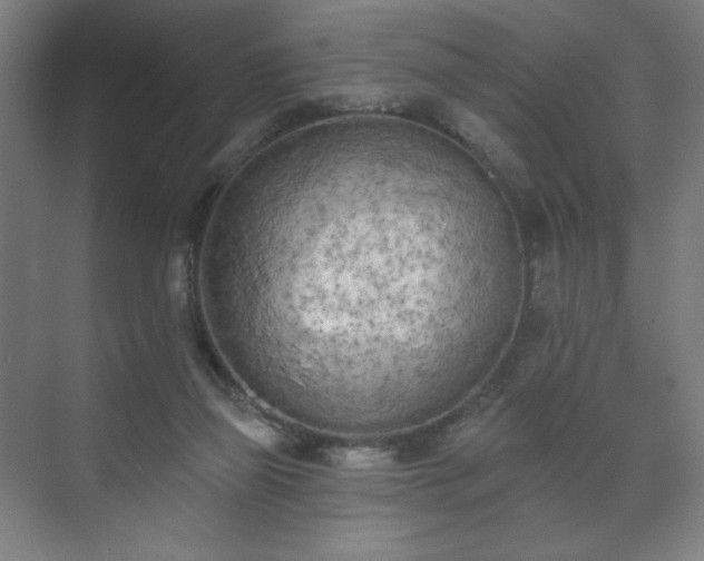 X0000071940165200607141442