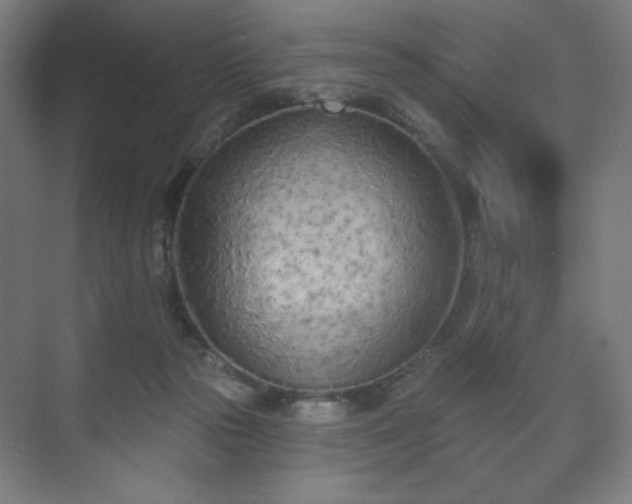 X0000071940169200607141442