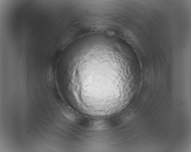 X0000071940173200607141442
