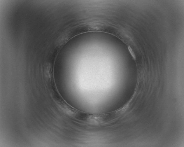 X0000071940174200607141442