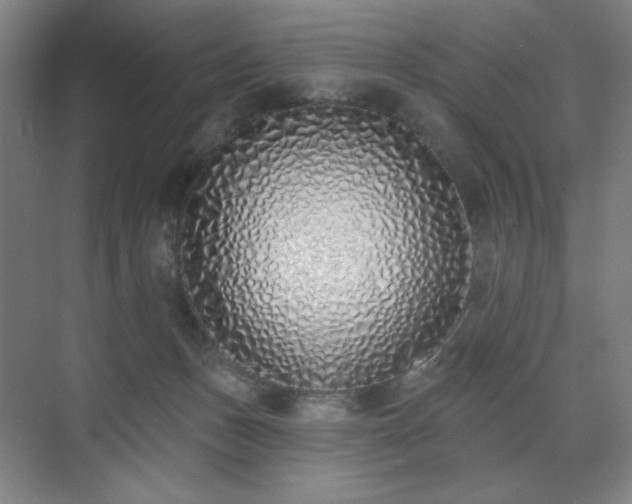 X0000071940175200607141442