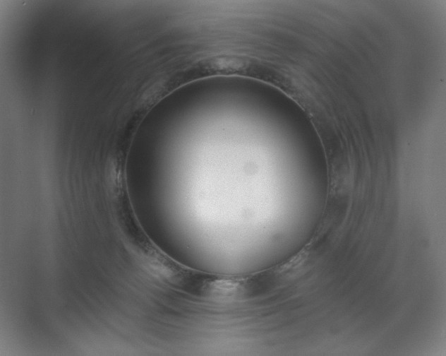 X0000071940176200607141442
