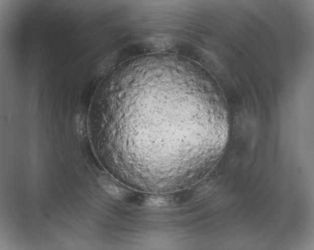 X0000071940177200607141442