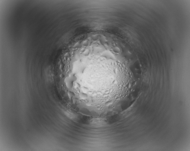 X0000071940179200607141442