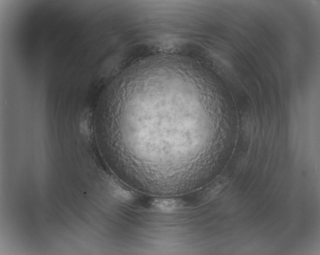X0000071940181200607141442
