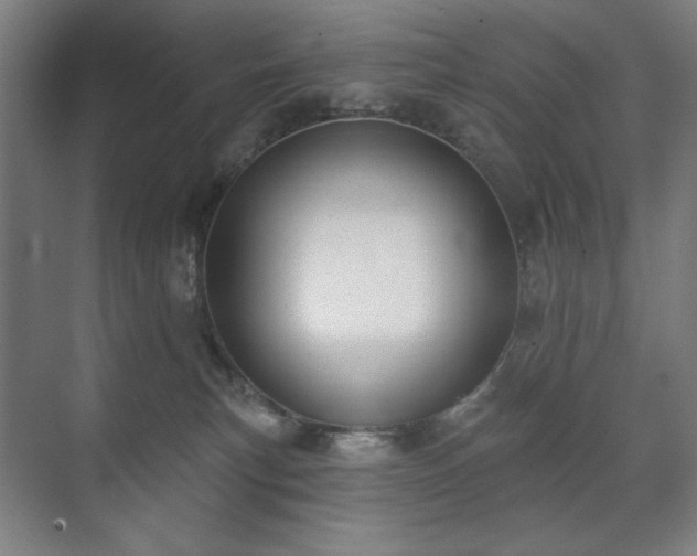 X0000071940183200607141442
