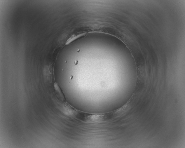 X0000071940184200607141442