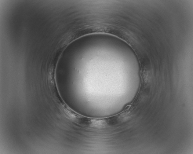 X0000071940185200607141442