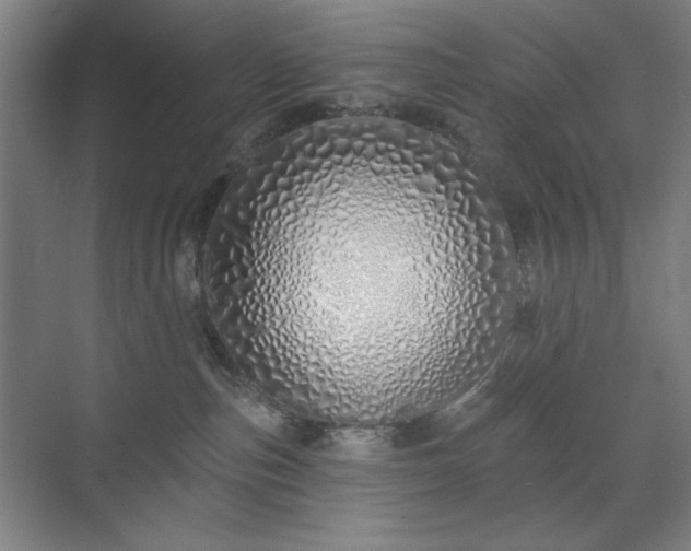 X0000071940187200607141442