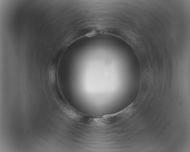 X0000071940188200607141442