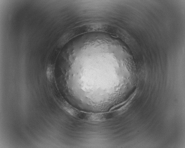 X0000071940191200607141442