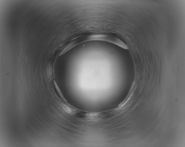 X0000071940192200607141442