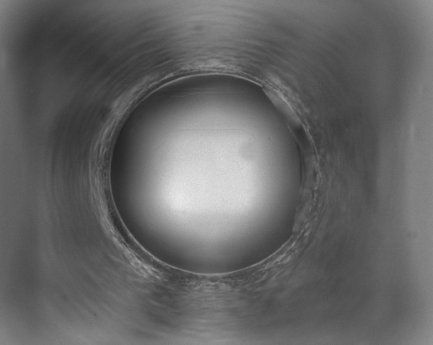 X0000071940193200607141442