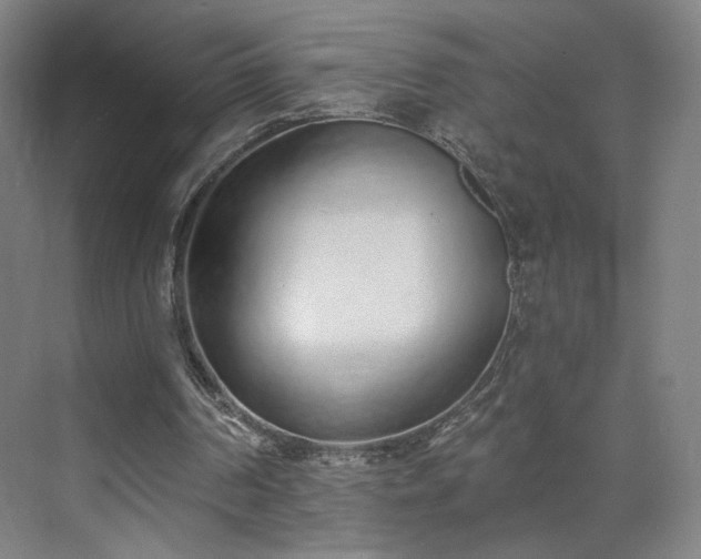 X0000071940194200607141442