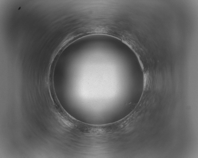 X0000071940195200607141442