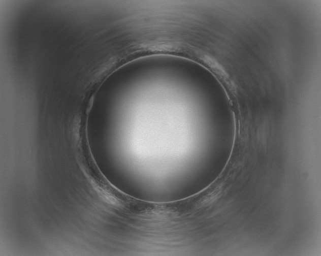 X0000071940201200607141442