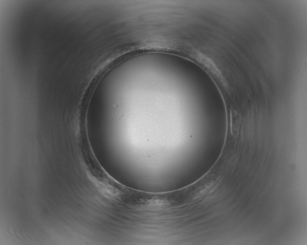 X0000071940204200607141441