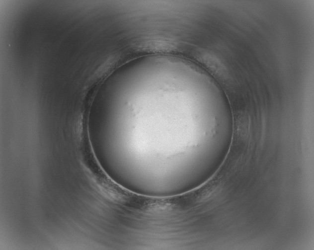 X0000071940206200607141441