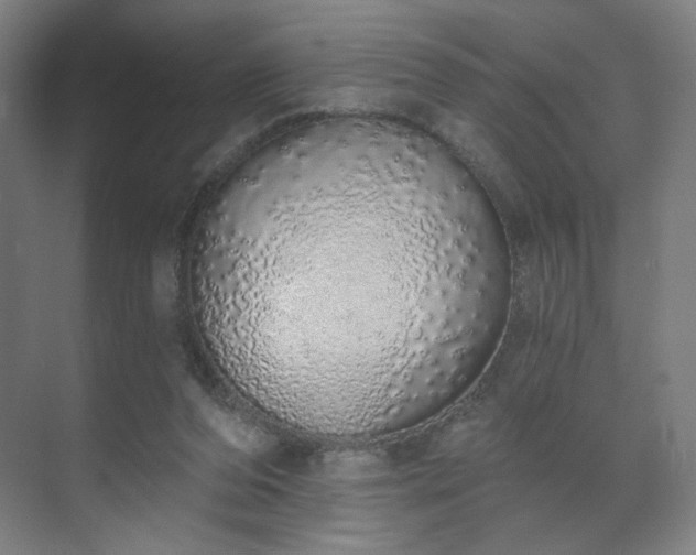 X0000071940208200607141441