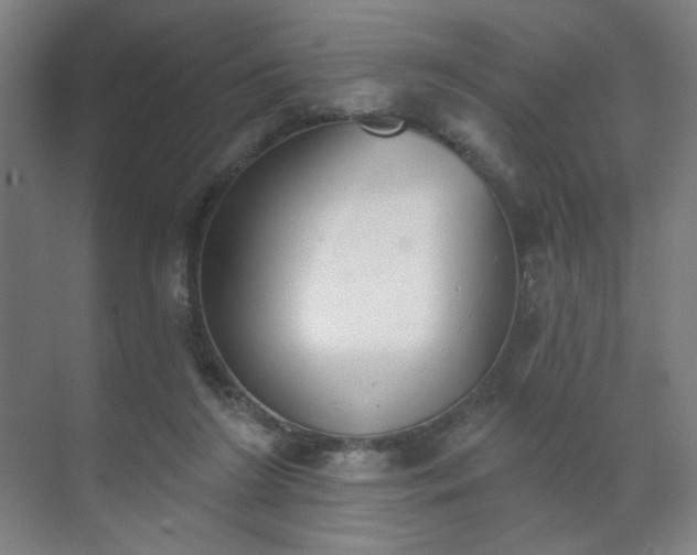 X0000071940212200607141441