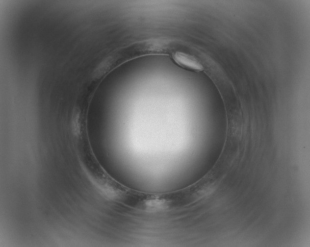 X0000071940216200607141441