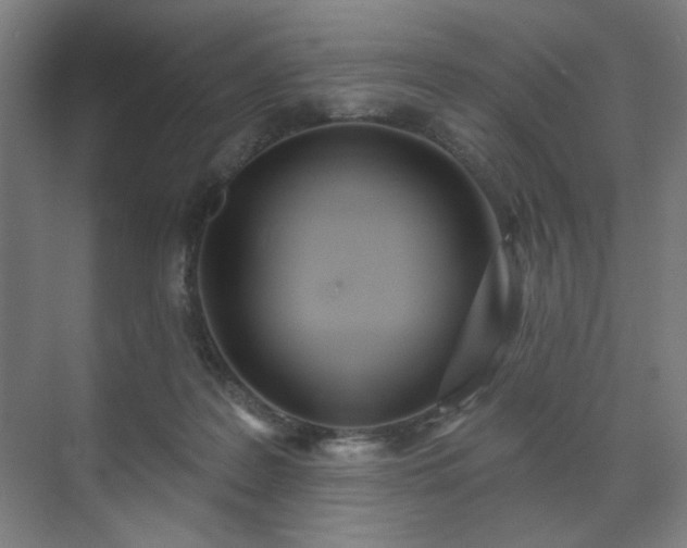 X0000071940219200607141441
