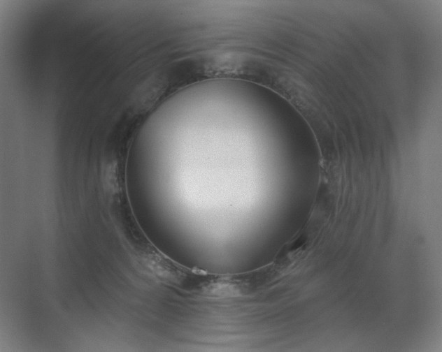 X0000071940224200607141441
