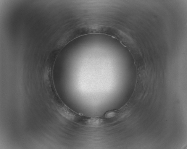 X0000071940225200607141441