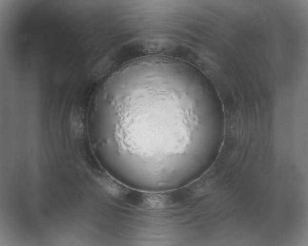 X0000071940226200607141441