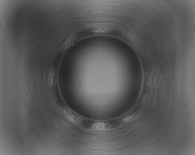 X0000071940227200607141441