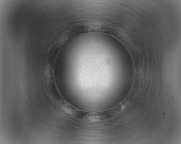 X0000071940228200607141441