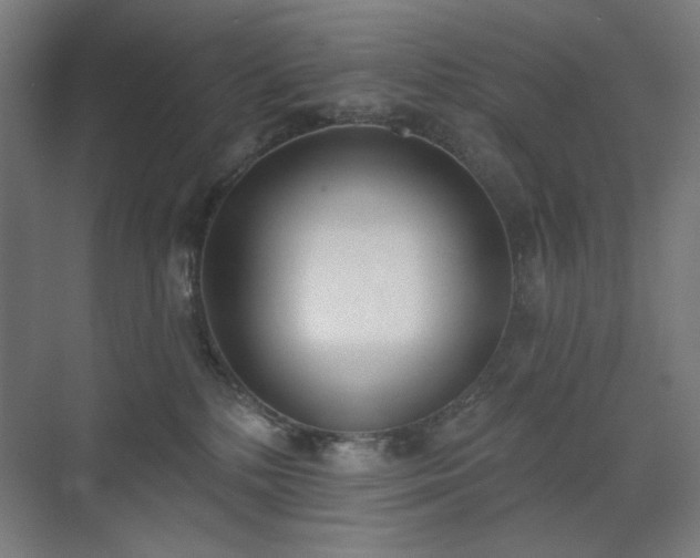 X0000071940232200607141441