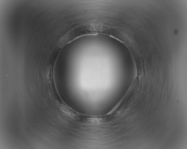 X0000071940233200607141441