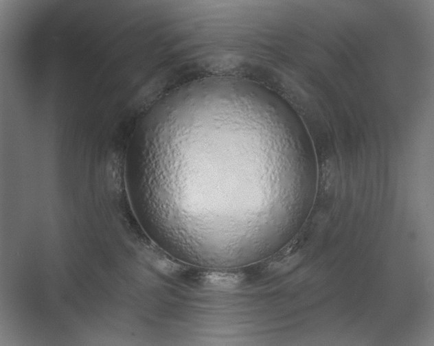 X0000071940234200607141441