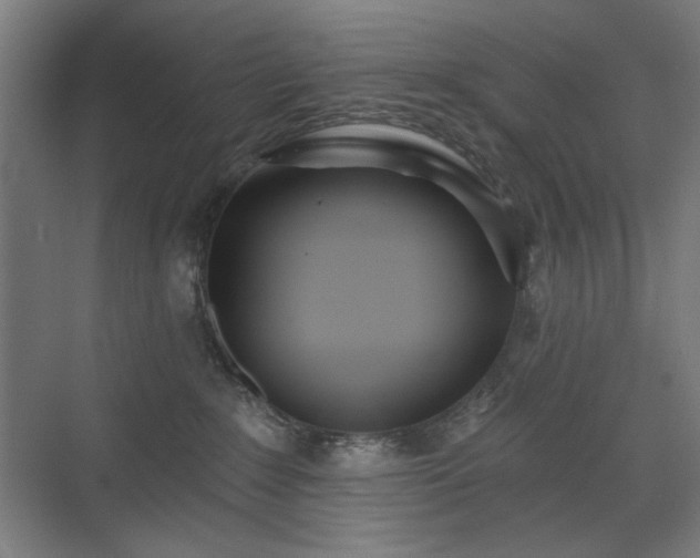 X0000071940235200607141441