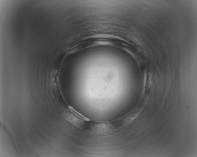 X0000071940237200607141441