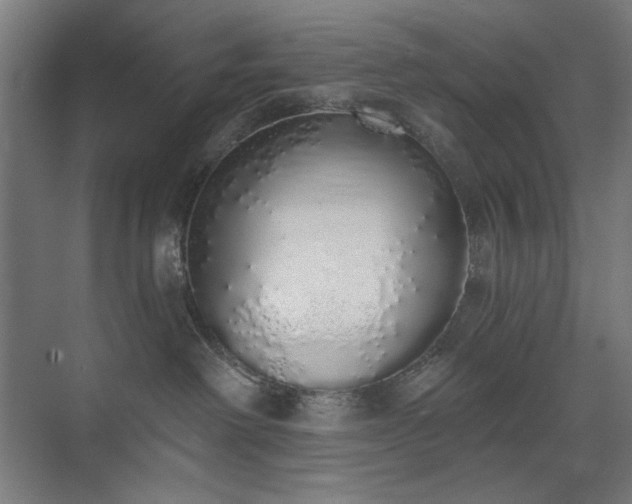 X0000071940238200607141441