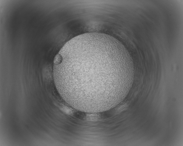 X0000071940240200607141441