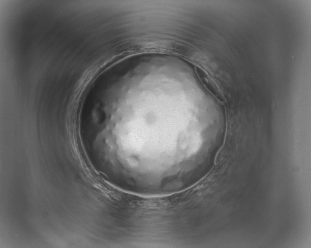 X0000071940241200607141440