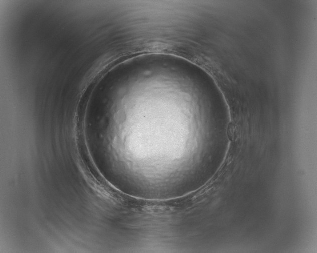 X0000071940242200607141440