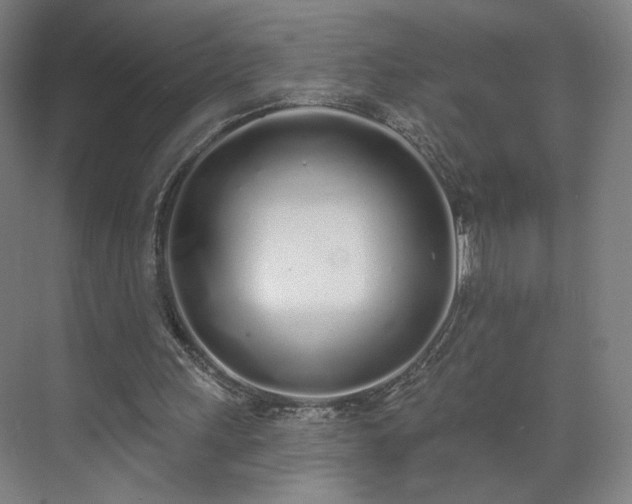 X0000071940243200607141440