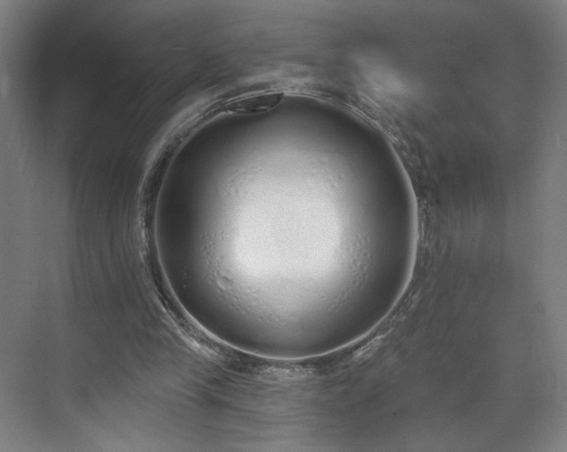 X0000071940245200607141440