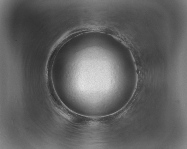 X0000071940246200607141440