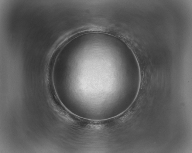 X0000071940247200607141440