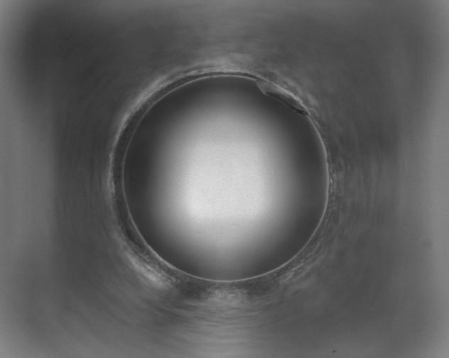 X0000071940248200607141440