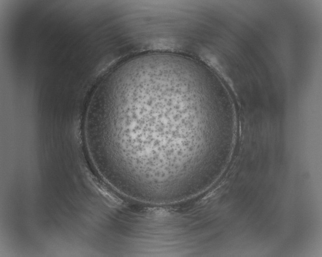 X0000071940249200607141440