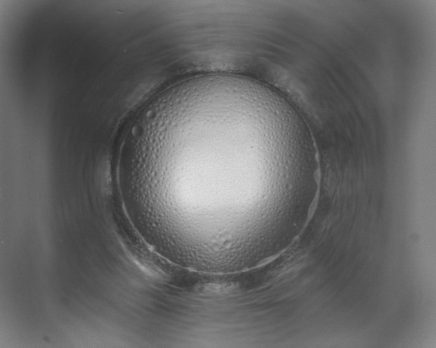 X0000071940251200607141440