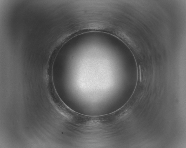 X0000071940252200607141440