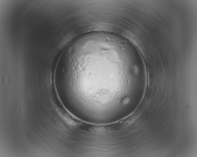 X0000071940253200607141440